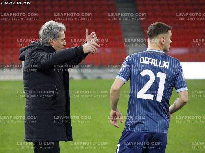 Futboll Partizani Dinamo
