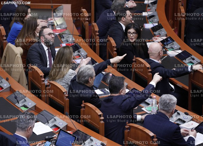 Seance parlamentare