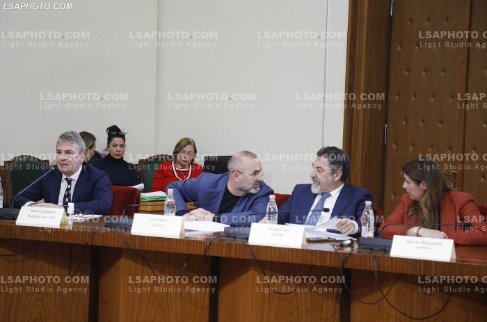 Seance e komisionit per reformen elektorale