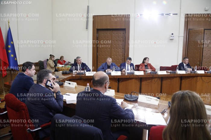Seance e komisionit per reformen elektorale