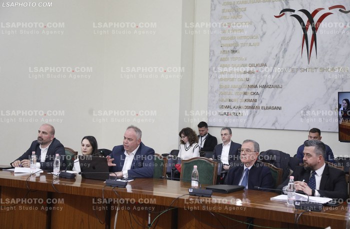 Seance e komisionit per reformen elektorale