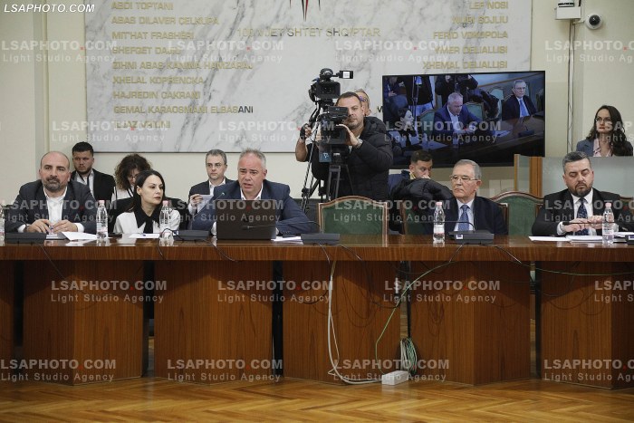Seance e komisionit per reformen elektorale