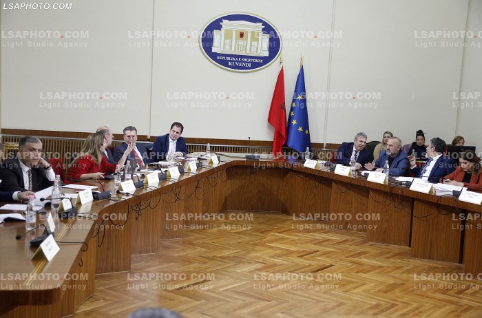 Seance e komisionit per reformen elektorale