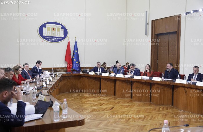 Seance e komisionit per reformen elektorale