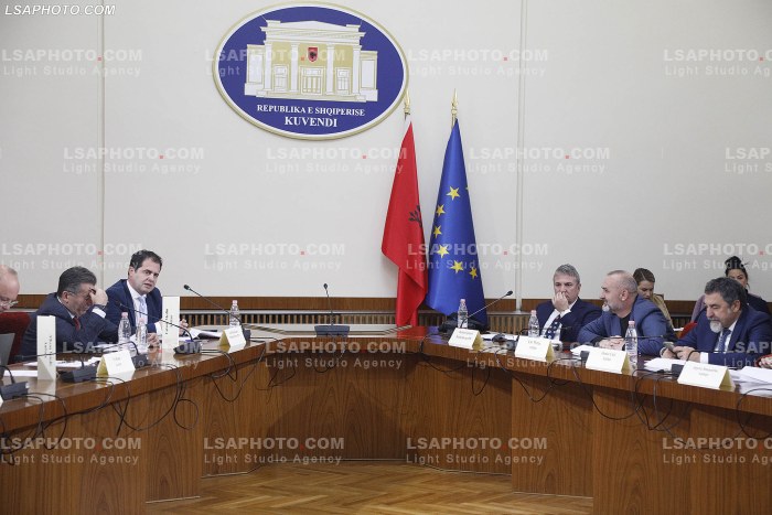 Seance e komisionit per reformen elektorale