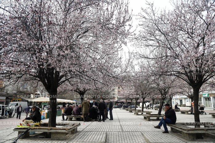 Te moshuar ne Tirane