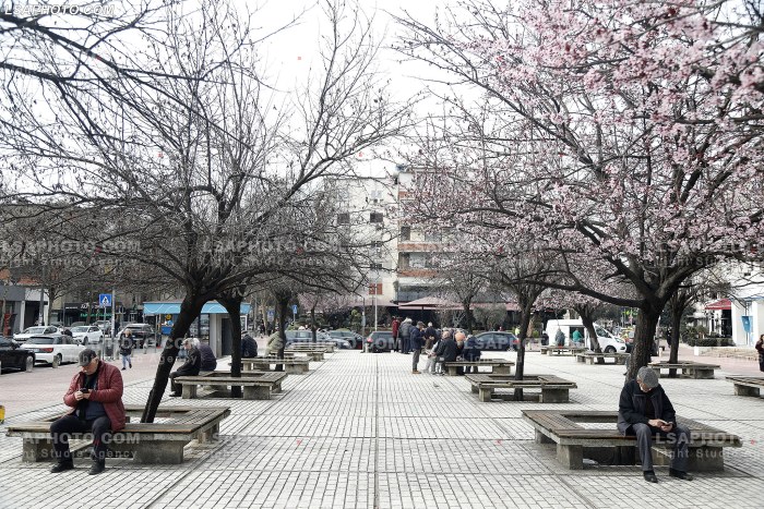 Te moshuar ne Tirane