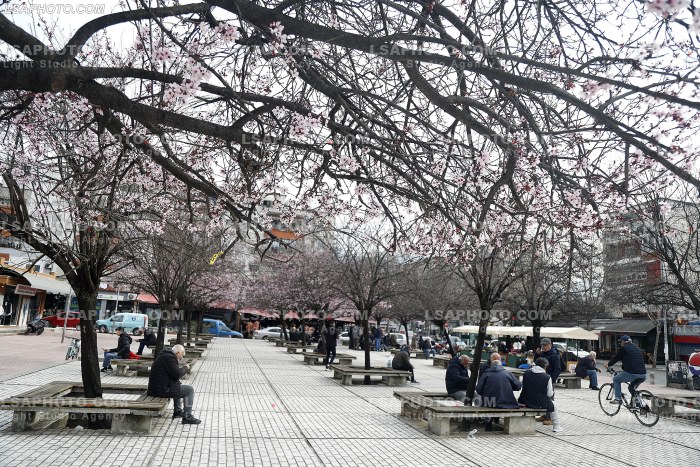 Te moshuar ne Tirane