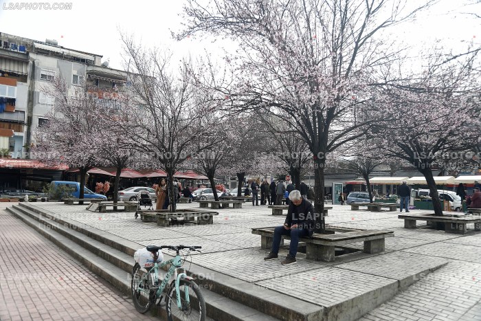 Te moshuar ne Tirane