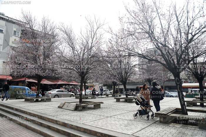 Te moshuar ne Tirane
