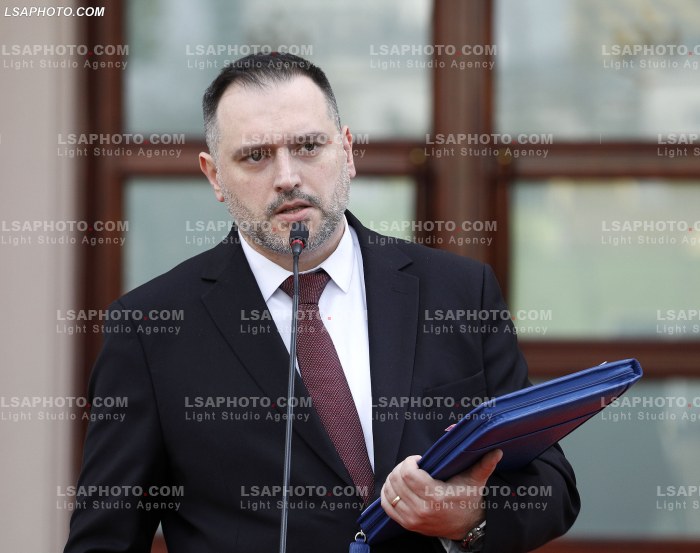 Ministra pas mbledhjes se qeverise