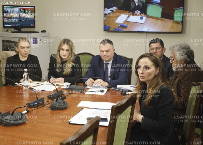 Seance e komisionit parlamentar per te drejtat e njeriut