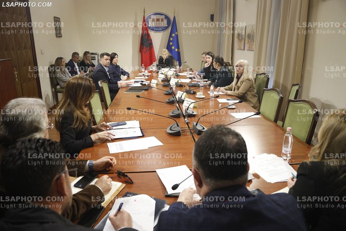 Seance e komisionit parlamentar per te drejtat e njeriut