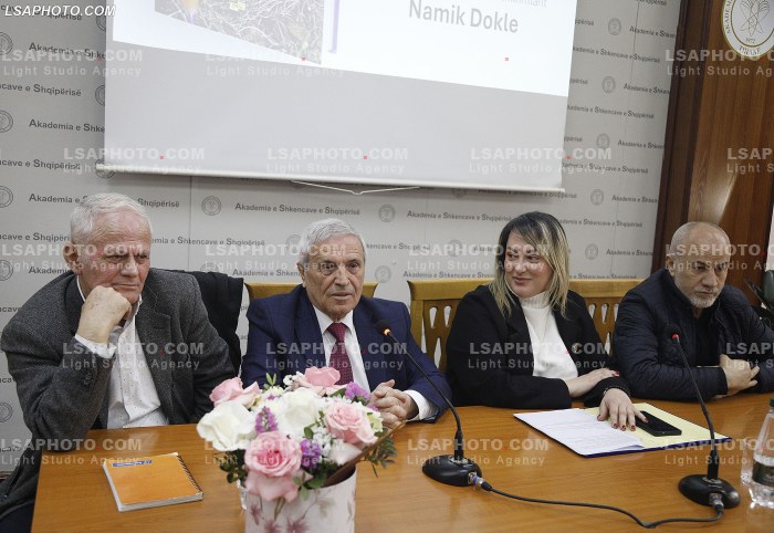 80 Vjetori i Namik Dokles