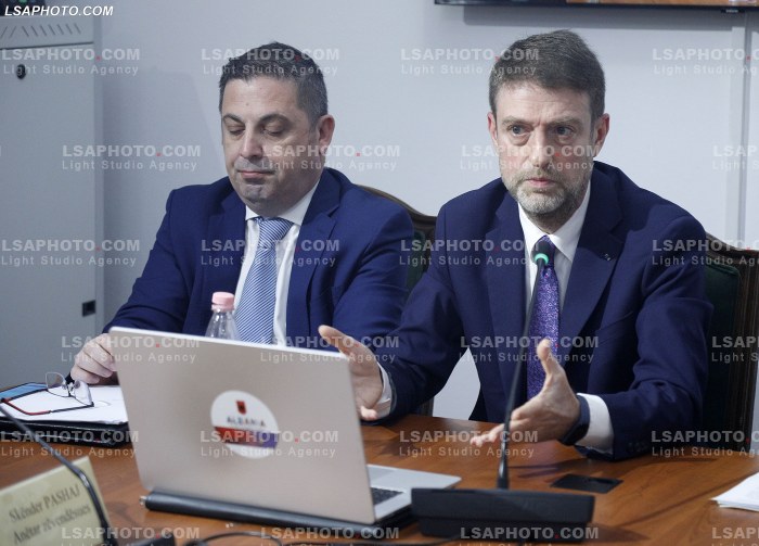 Hoxha ne Komisionin Parlamentar per Evropen