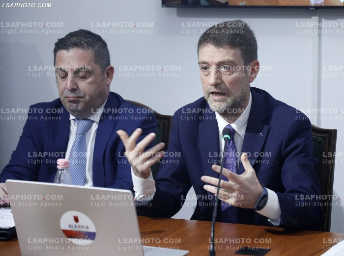 Hoxha ne Komisionin Parlamentar per Evropen