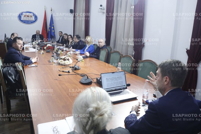 Hoxha ne Komisionin Parlamentar per Evropen