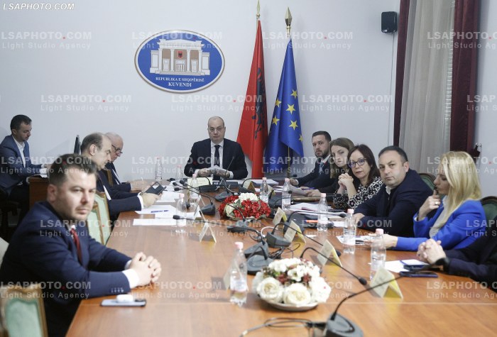 Hoxha ne Komisionin Parlamentar per Evropen
