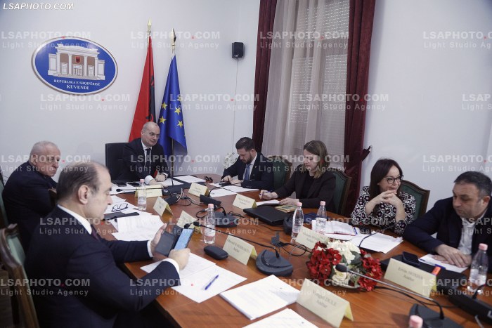 Hoxha ne Komisionin Parlamentar per Evropen