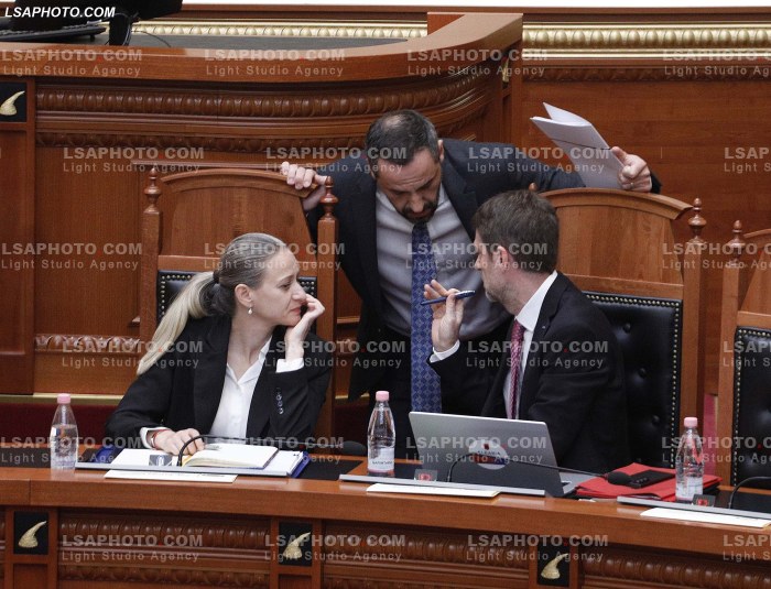 Seance parlamentare