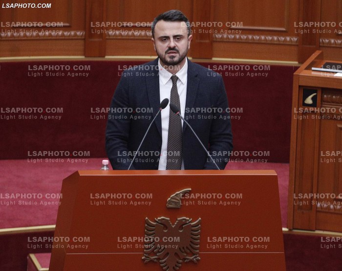 Seance parlamentare