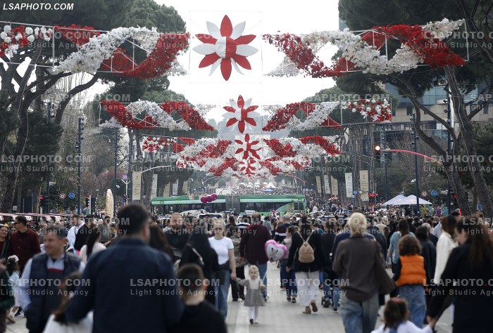 Dita e Veres ne Tirane