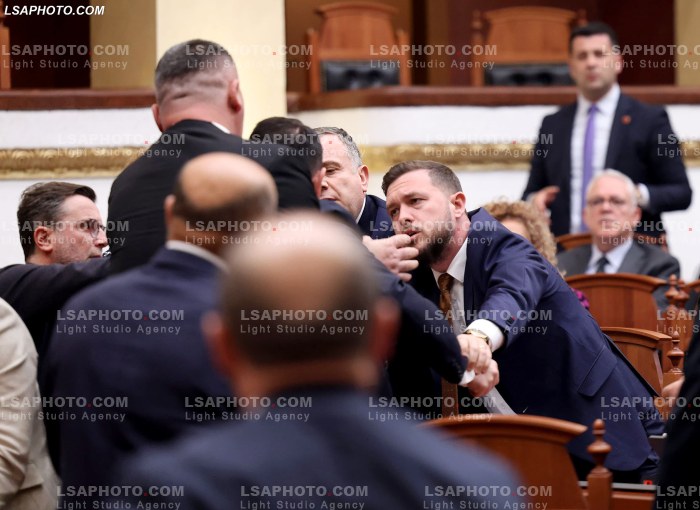 Seance parlamentare pasdite
