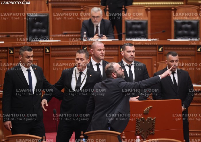 Seance parlamentare pasdite