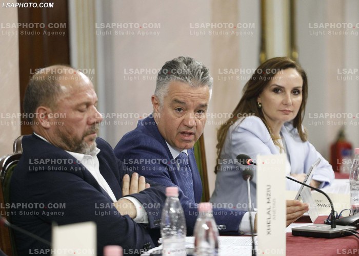 Mbledhje e komisionit per reformen territoriale