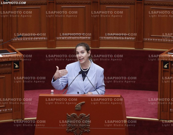 Seance parlamentare