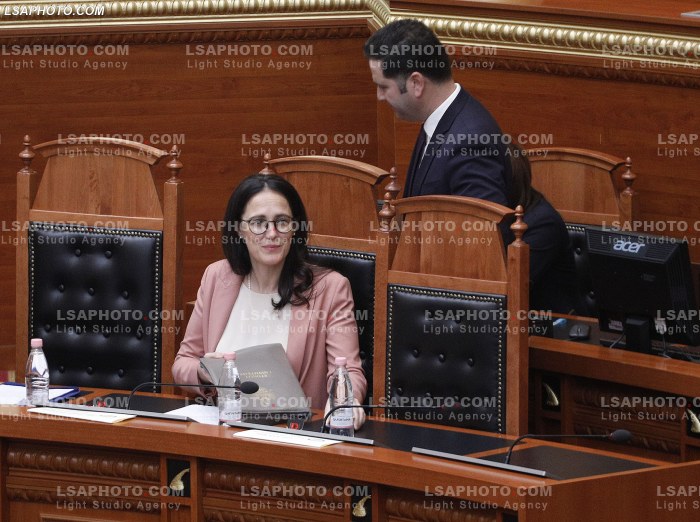 Seance parlamentare
