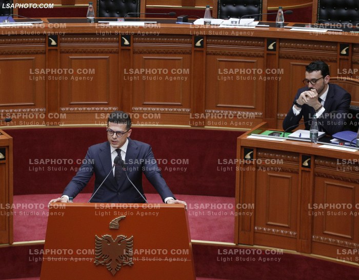 Seance parlamentare