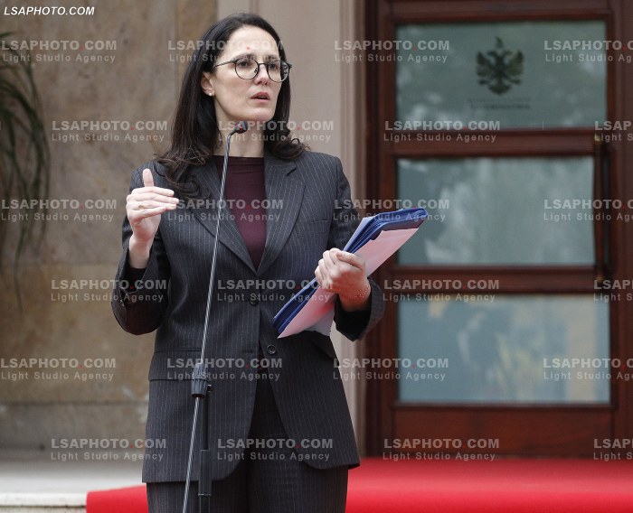Ministra pas mbledhjes se qeverise