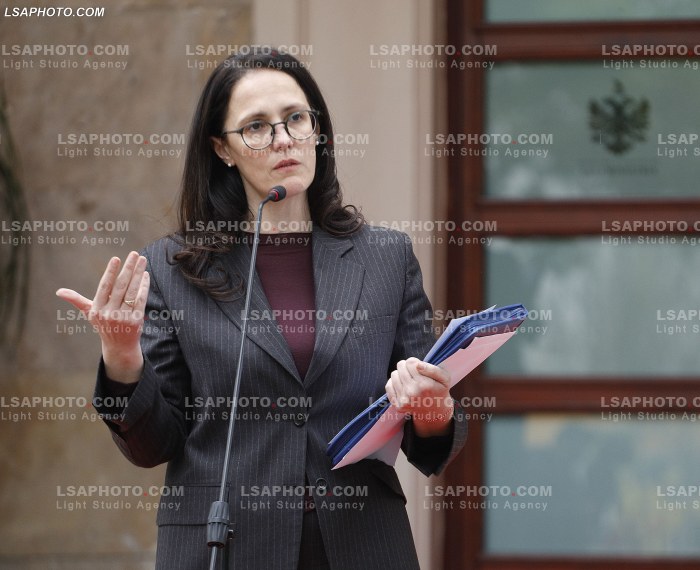 Ministra pas mbledhjes se qeverise