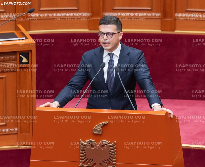Seance parlamentare