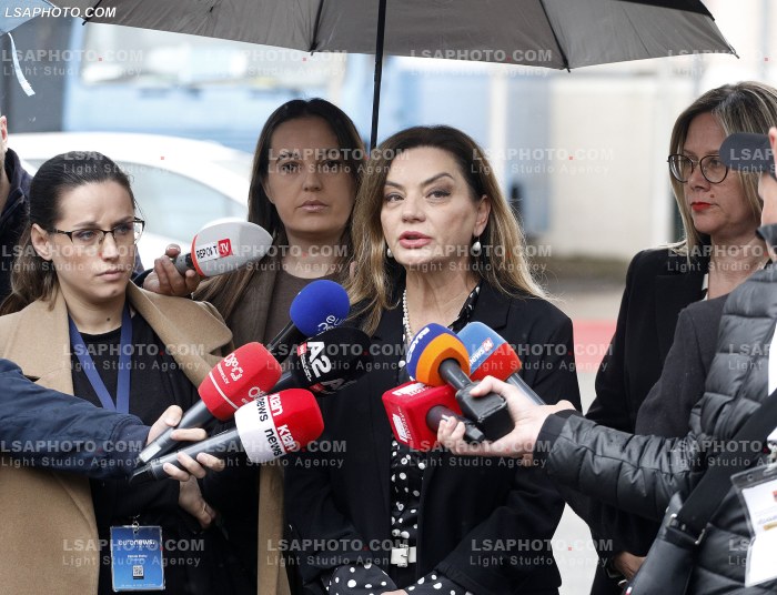 Deputetet e PD pas parlamenti