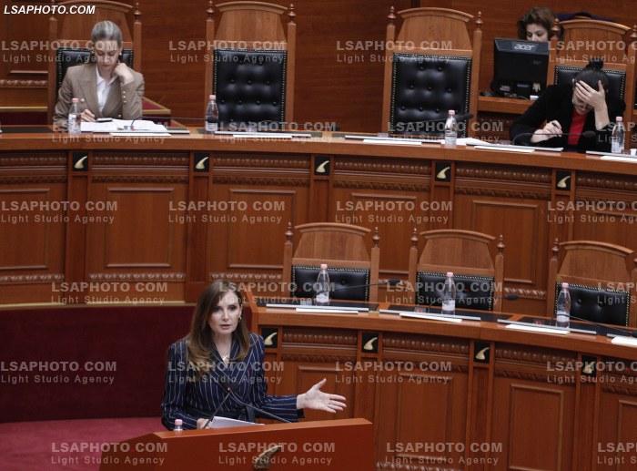 Seance Parlamentare