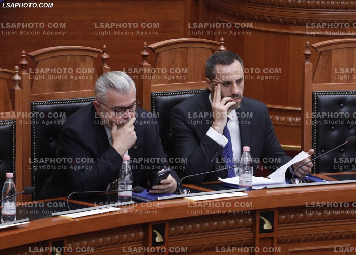 Seance Parlamentare