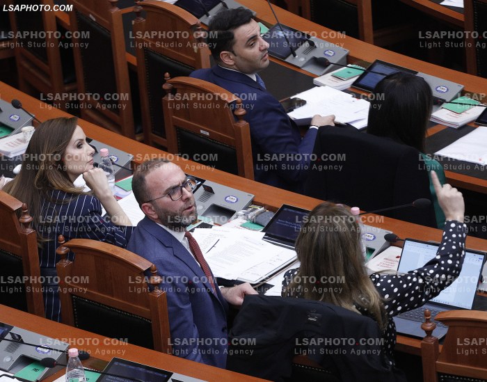 Seance Parlamentare