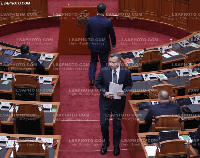 Seance Parlamentare