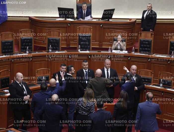 Seance Parlamentare