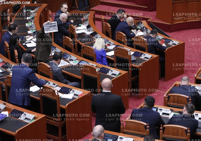 Seance Parlamentare