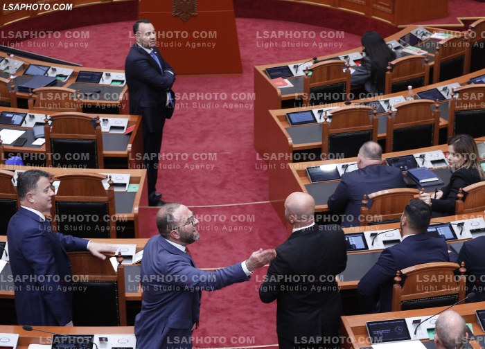 Seance Parlamentare