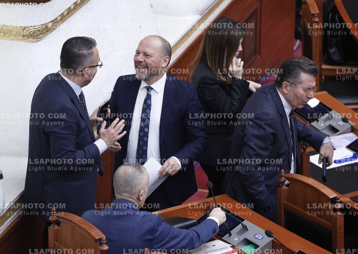 Seance Parlamentare