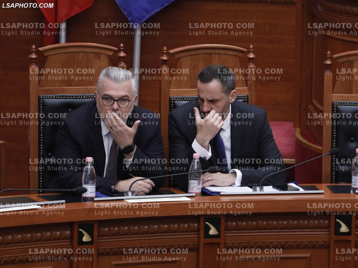 Seance Parlamentare