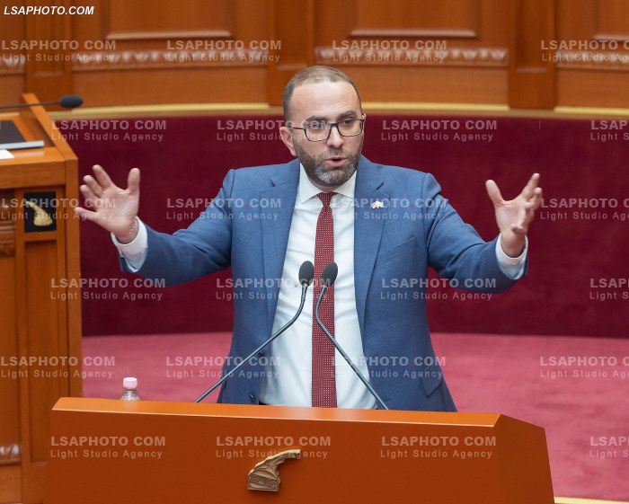 Seance Parlamentare