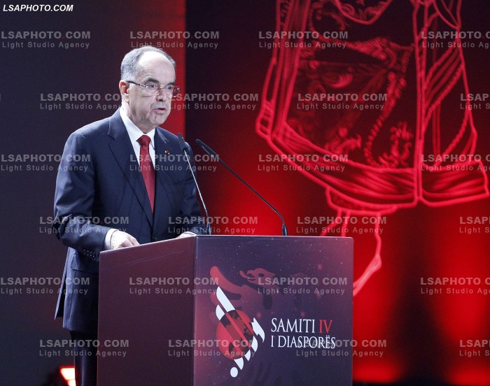 Dita e pare e Samitit te Diaspores