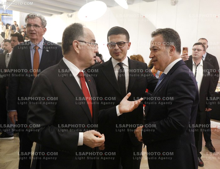 Dita e pare e Samitit te Diaspores