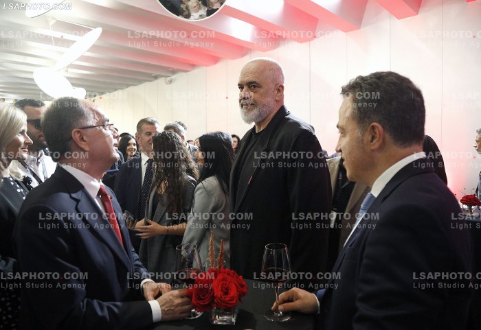 Dita e pare e Samitit te Diaspores