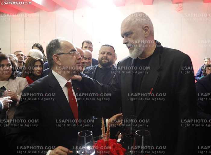 Dita e pare e Samitit te Diaspores